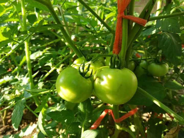 80后斜杠青年装修爆改姑苏民居找寻属于他的诗和远方