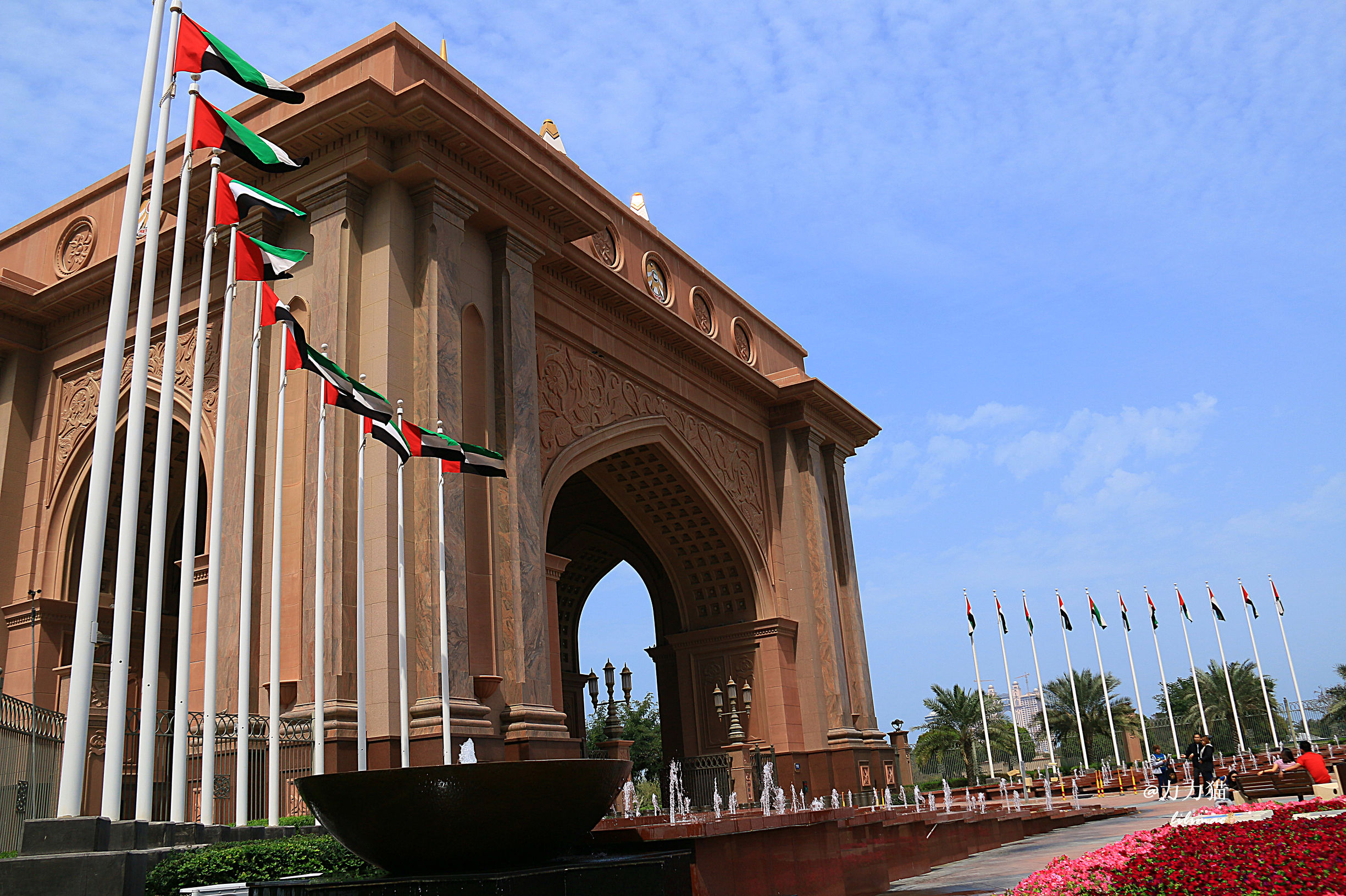 阿联酋：谁富有要看门口的树