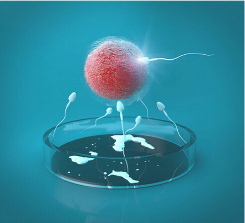 试管婴儿出血怎么回事,试管婴儿的出血原因