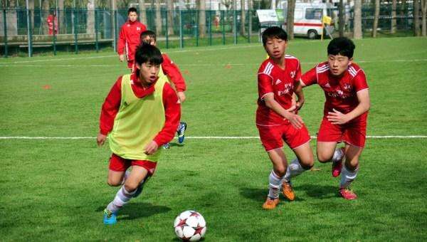 颜强讲青训完整版,颜强德国足球青训