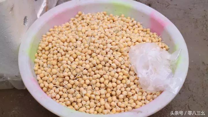 南溪长兴赶场,南溪区南溪镇赶集视频