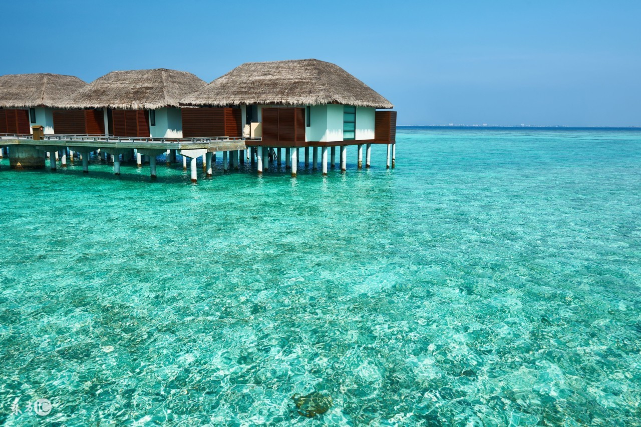 极度自私的三大星座,自私到你崩溃的五大星座