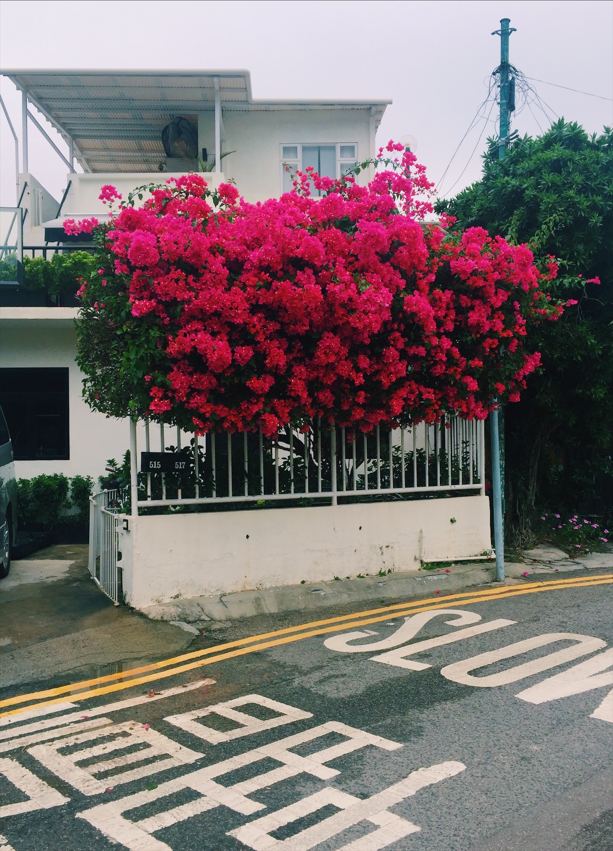 VA踩点|我养你啊