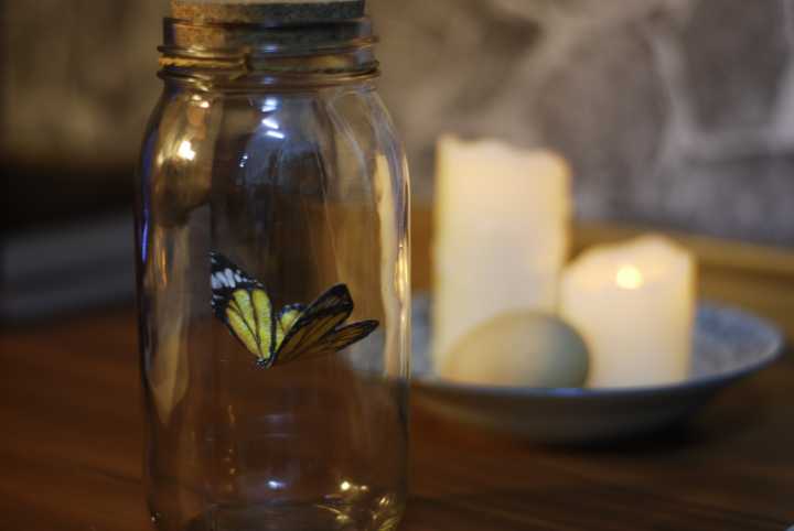 上古卷轴5房屋咋装修,上古卷轴5房子装修