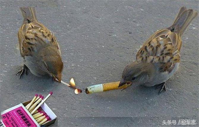 第二代思铂睿讴歌,改装无罪