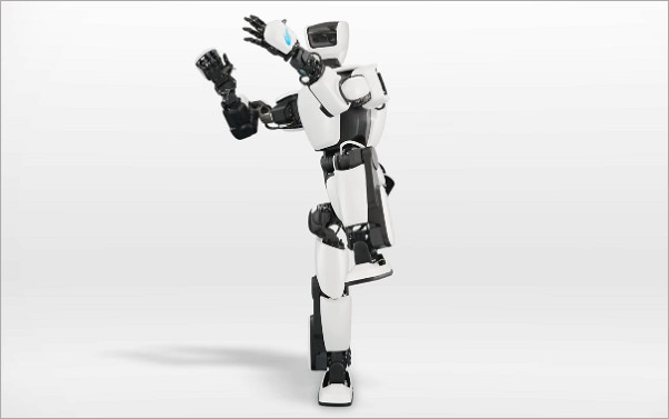 甄子丹吴京武术成就,甄子丹吴京格斗解析