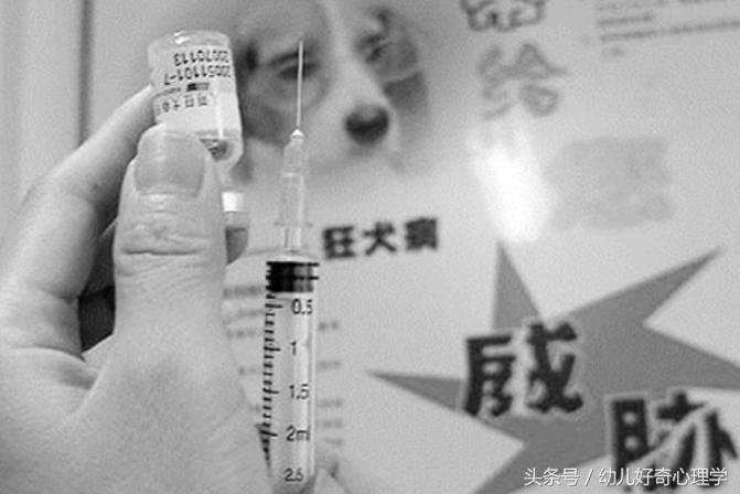 孩子被宠物狗咬伤怎么办,幼儿被宠物咬伤后的处理方法