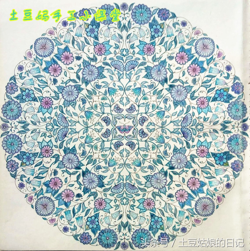 玩秘密花园涂色本,秘密花园涂色本可爱