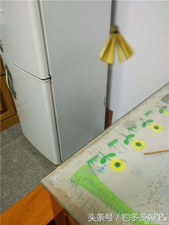 钓叟张演义第二回钓具DIY：擒黄颡首战告捷，失白翘再钓铩羽