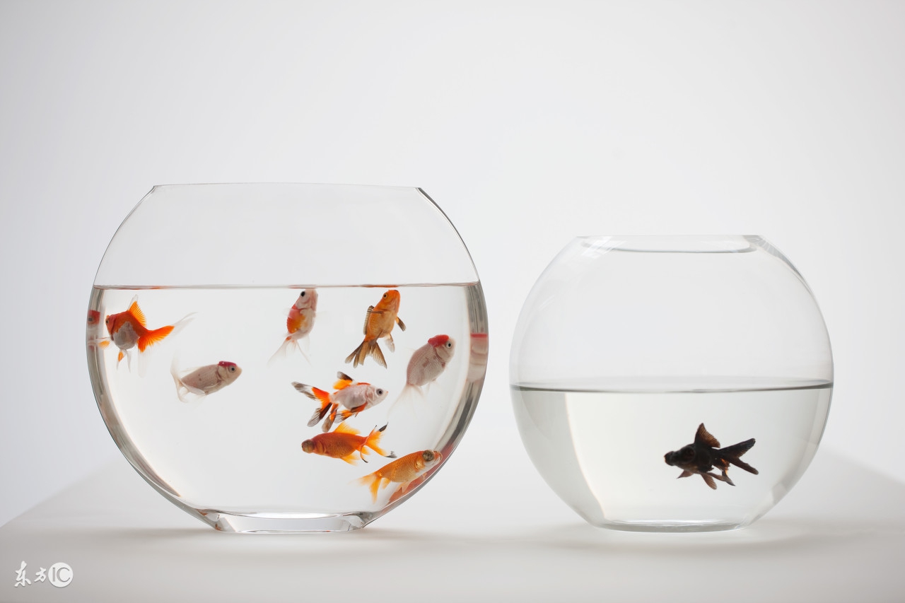 如何运营五万粉丝的公众号,公众号怎么破千粉丝