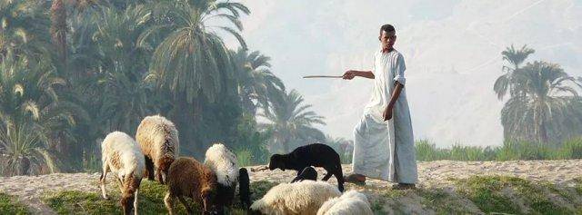 明星都去打卡的古镇,明星埃及旅游综艺