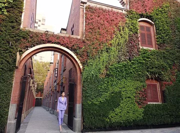 小仙女拍照神器,小仙女必备免费拍照软件