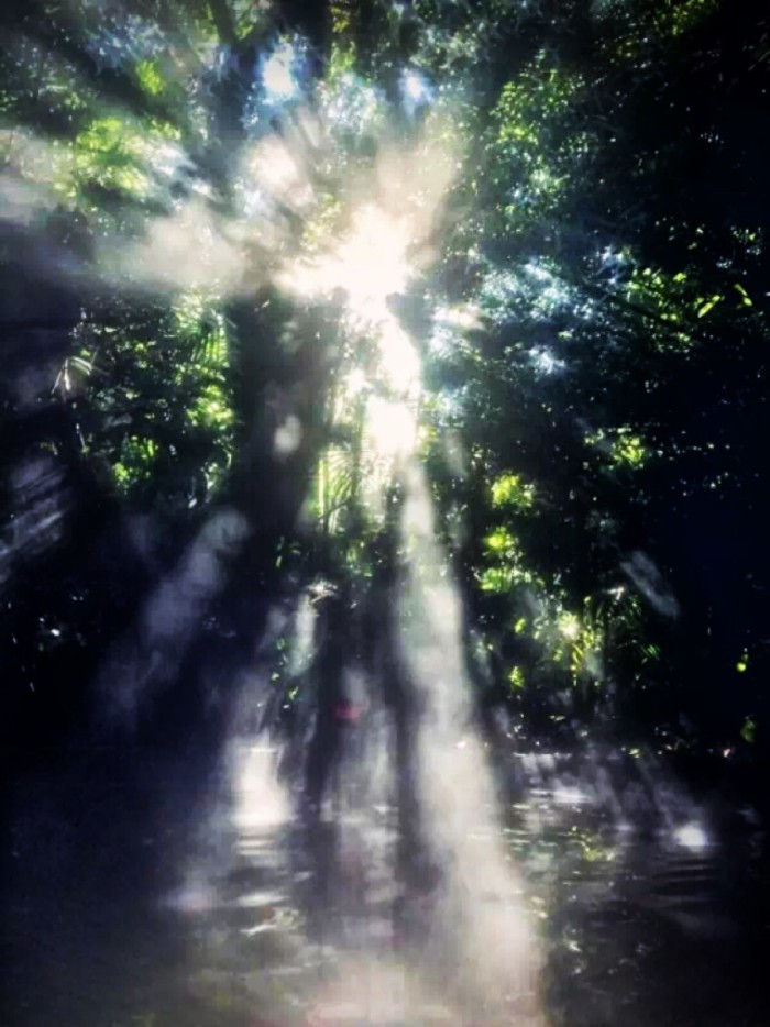 成都青城山探险,成都青城山冬季旅游攻略图