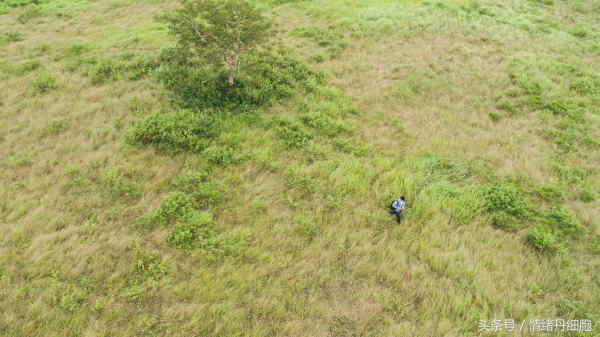 地图采集员一般月收入多少万正常,地图信息采集员工作靠谱吗