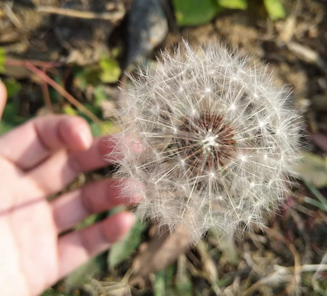 360n6评测吃鸡,360n6pro黑科技