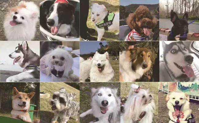 吴江区楼市最新行情,吴江楼市前瞻