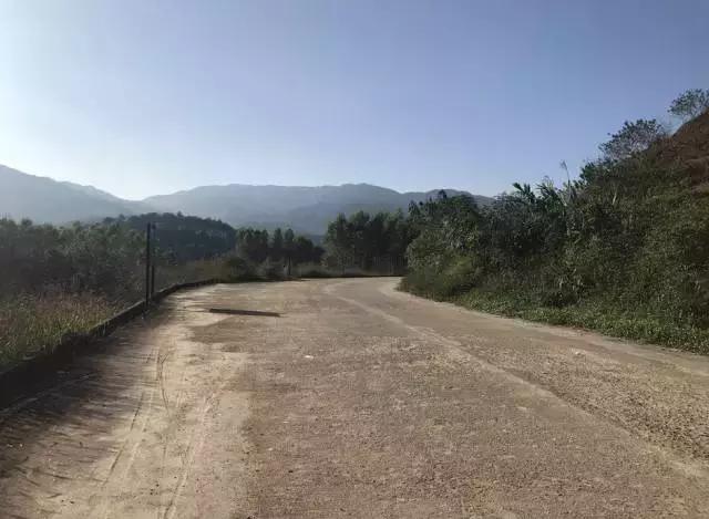 清远市龙颈镇乡村马拉松赛第一名,清远清新龙颈石马风车山马拉松