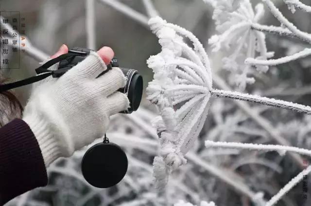 相机保养十大注意事项,相机冬天镜头起雾怎么消除