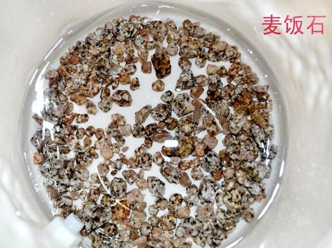 养鱼过滤系统滤材需要更换吗,简单介绍一下养鱼过滤系统的原理