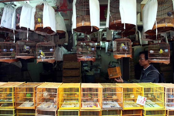 怎么玩透原神,如何玩九龙魂