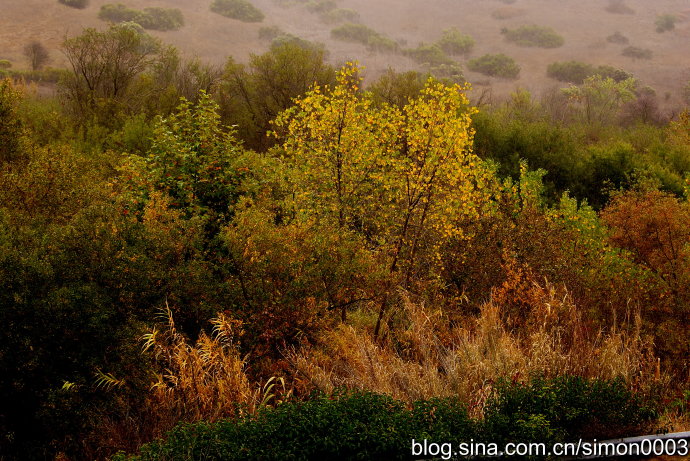 圣地亚哥下雨游玩好吗,圣地亚哥在下雨高清