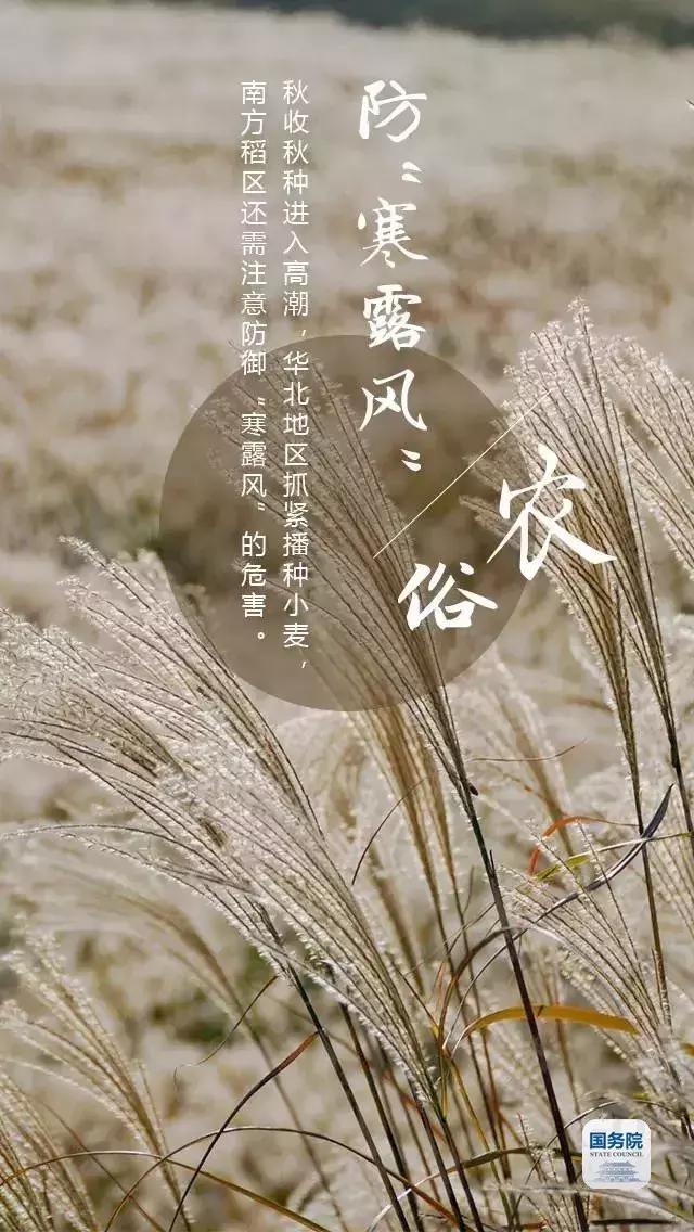 一张图上包含二十四节气壁纸,高清中国插画二十四节气壁纸