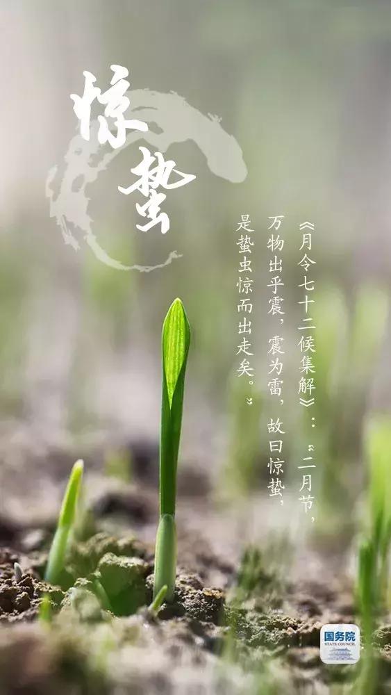 一张图上包含二十四节气壁纸,高清中国插画二十四节气壁纸