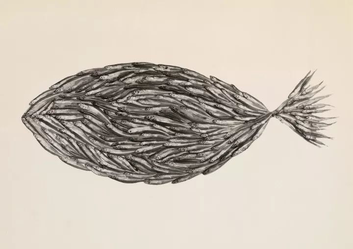 欧文佩恩摄影大师,欧文佩恩高清大图