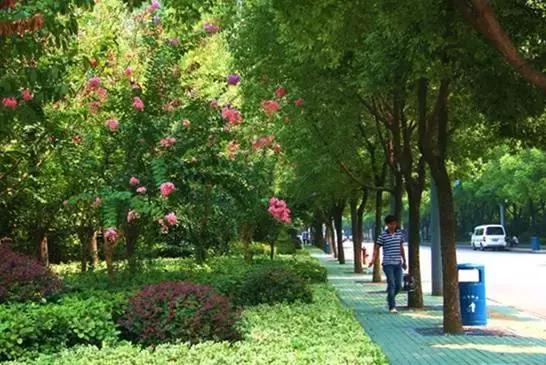 12月武汉一大波好消息集中爆发！条条都和你息息相关！