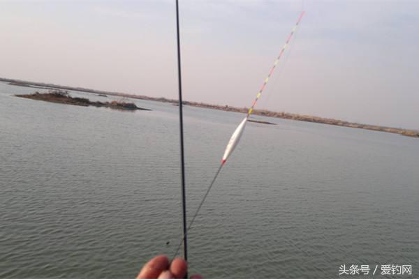河里钓鱼调漂的正确方法与技巧,黑坑钓鱼调漂的正确方法与技巧