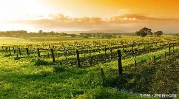 对话｜佳格天地张文鹏：服务和价值是农业大数据公司存在的意义