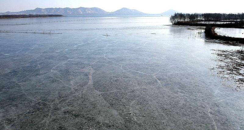 用纯净的心灵发现人生的美,人世间真正的美