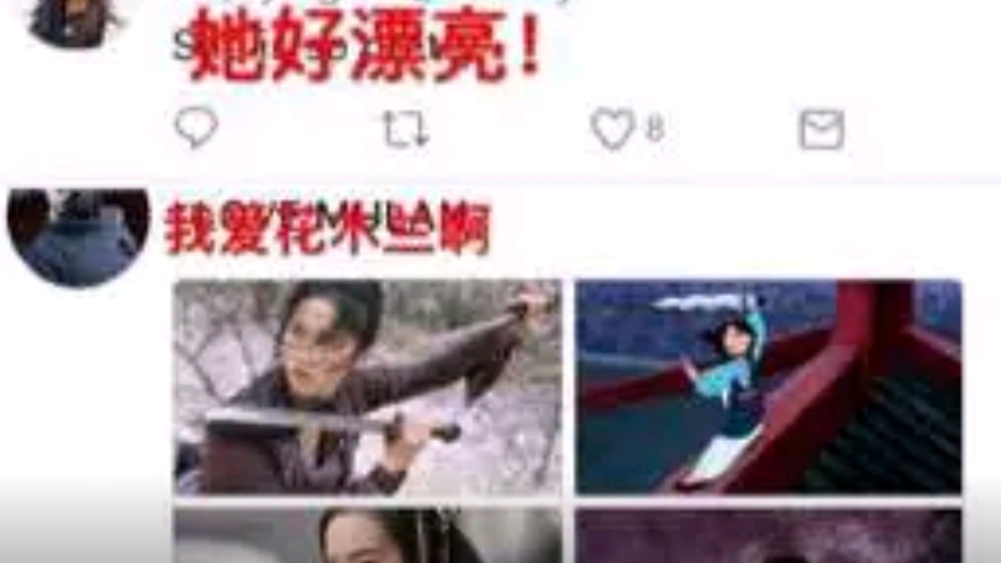 刘亦菲被选花木兰的原因,刘亦菲花木兰投票视频