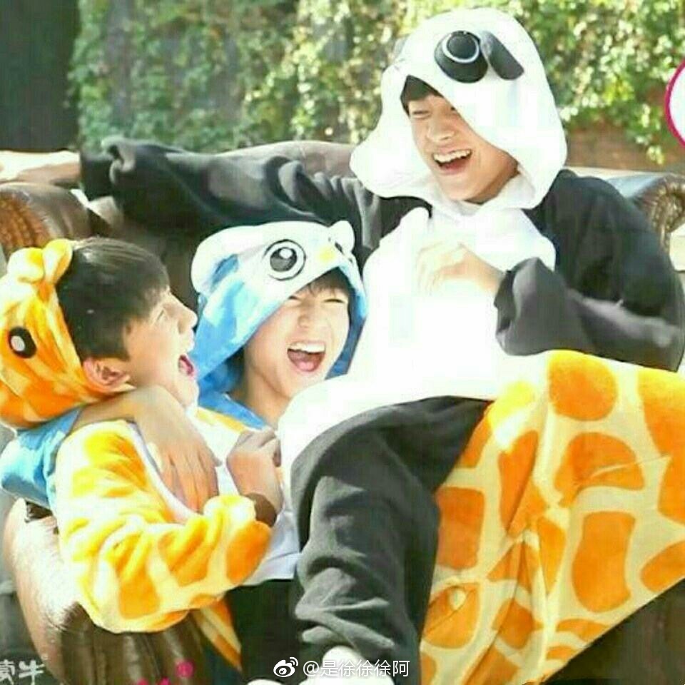 为什么喜欢tfboys的歌文案,为什么这么喜欢tfboys