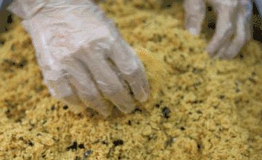 鲍师傅网红店排队,鲍师傅在南京排队