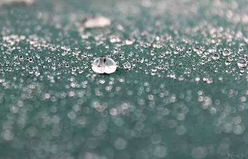 古诗三首分别描写了什么景象,古诗中的景物形象鉴赏