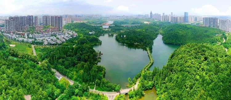 共享发展新成果不落下一户贫困户——从白云区“梵华共享”项目看城市“三变”改革