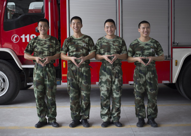 我会长成一棵大树完整版,我会长成一棵大树句子