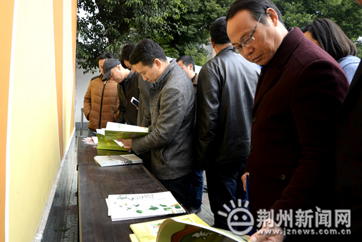 聚力青训足球怎么样,聚力足球