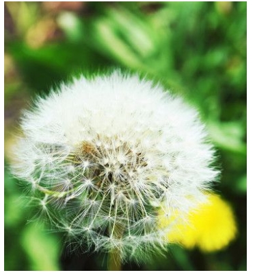 脸上怎么祛斑4大祛斑秘方教你,脸上如何祛斑值得一看