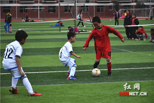 濞勫簳甯倁12瓒崇悆鑱旇禌,婀栧崡闀挎矙瓒崇悆鑱旇禌u9