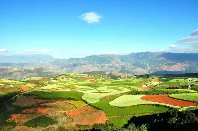 人间四月天，醉美是寻甸！