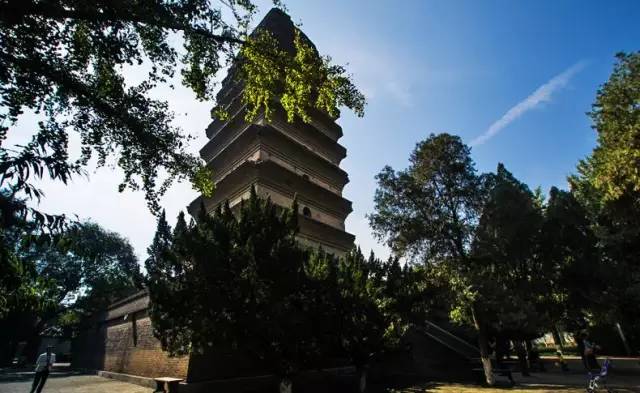 西安603路公交车密接者,西安603路最新路线图