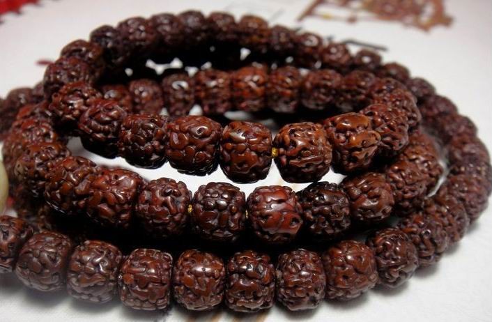 最常见的普通菩提子是哪种,菩提子种类大全图解