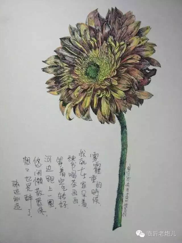 带着书本去旅行绘画,带着旅行箱去旅行绘画