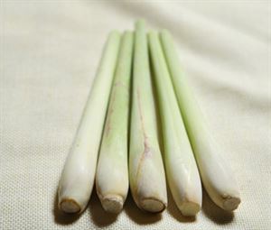 东南亚咖喱用什么香料,咖喱到底是个什么味道