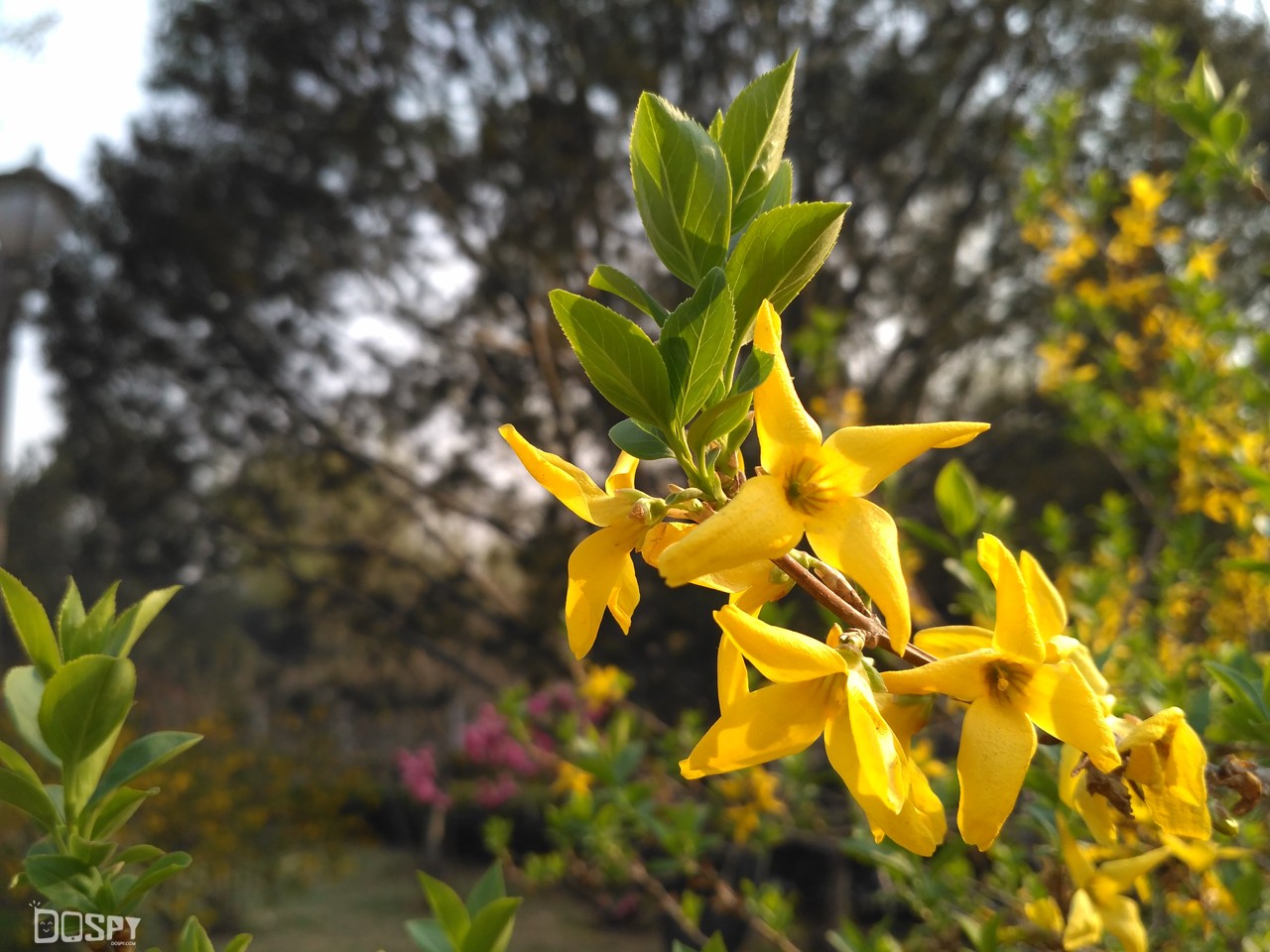 加价200元性价比是否还在?红米3高配版评测