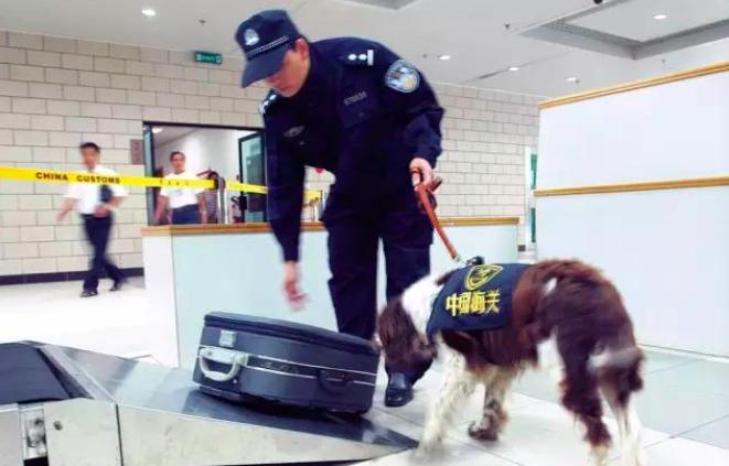 海关征税政策,海关税最新政策