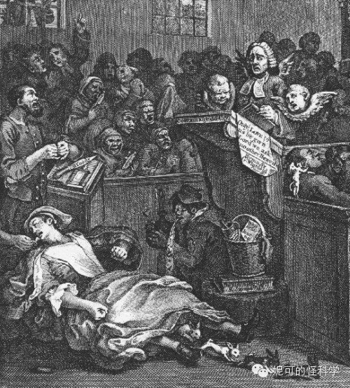 女生生兔子宝宝,女人生兔子