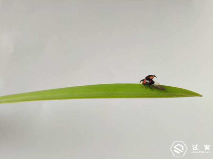 vivoxplay5体验,vivoxplay5特点